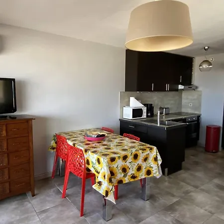 Apartment Climatise Face A La Avec Terrasse, Proche Commerces Et - Fr-1-750-66 *
